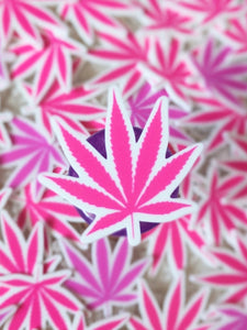 Pink Marijuanna Leaf Plannar