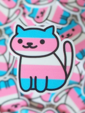 Transgender Flag Cat Plannar