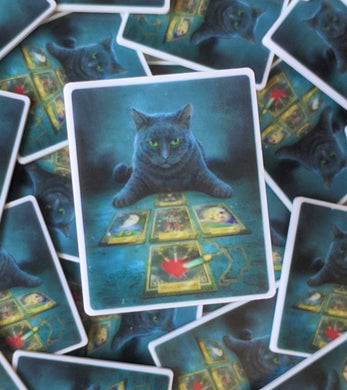 Tarot Card Black Cat Plannar